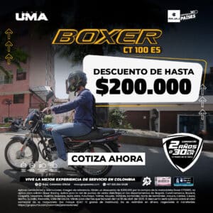 Boxer ofertas